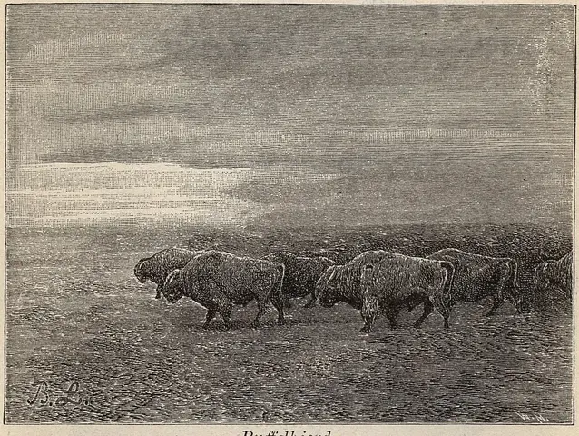 Illustration ur Läsebok för folkskolan: Afdelning 3, 4, 5 och 6 (1903), sida 931