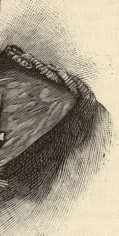 Illustration, sida 1061