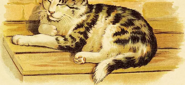 Illustration ur Wåra vänner bland djuren (1897), sida 8