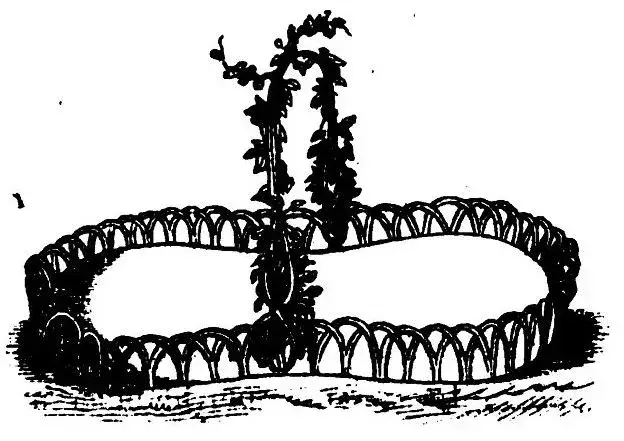 Illustration, sida 50