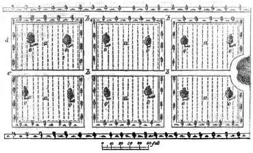 Illustration ur Trädgårdskonst (1858), sida 92