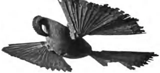Illustration ur Meddelanden från Nordiska museet (1903), sida 185