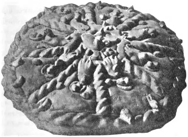 Illustration ur Meddelanden från Nordiska museet. 1897-1903 (1898), sida 25