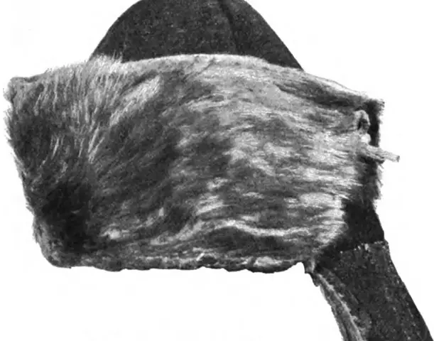 Illustration ur Meddelanden från Nordiska museet. 1897-1903 (1898), sida 481