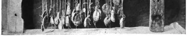 Illustration ur Meddelanden från Nordiska museet. 1897-1903 (1898), sida 583