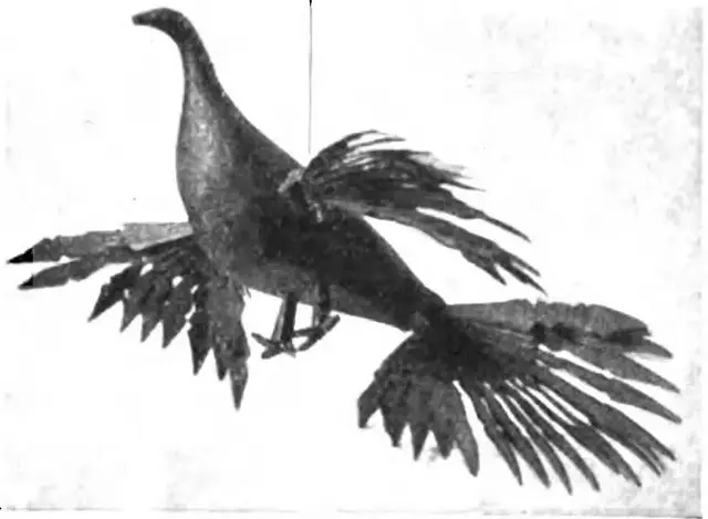 Illustration ur Meddelanden från Nordiska museet. 1897-1903 (1898), sida 816