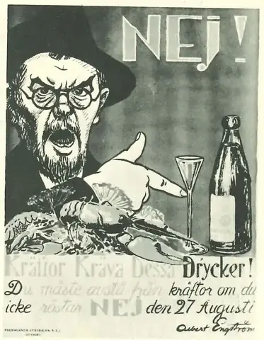 Illustration ur Med kungen för fosterlandet (1934), sida 85