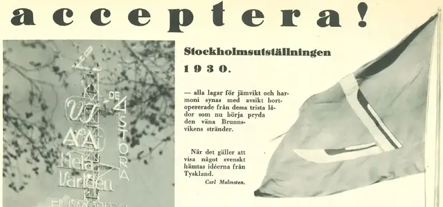 Illustration ur Med kungen för fosterlandet (1934), sida 91