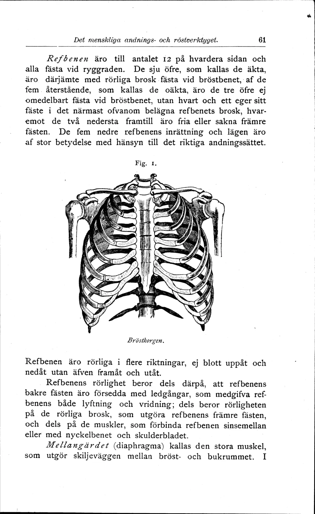 Originalsida 61