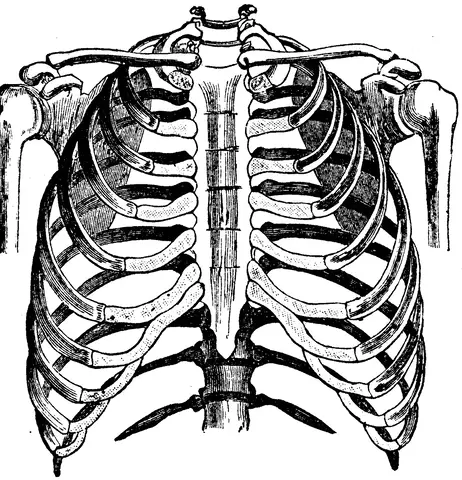 Illustration, sida 61