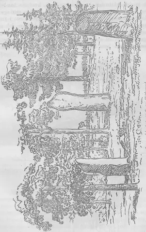 Illustration ur Nerikes gamla minnen (1868), sida 29