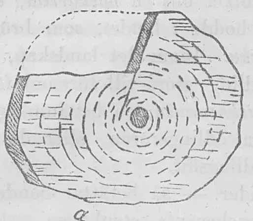 Illustration ur Nerikes gamla minnen (1868), sida 54