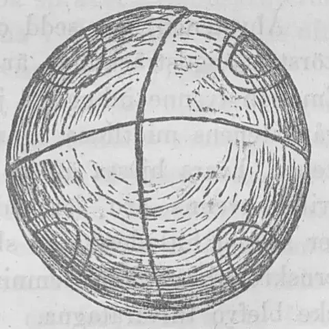 Illustration, sida 77