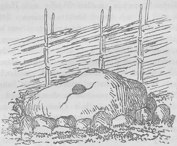 Illustration ur Nerikes gamla minnen (1868), sida 229