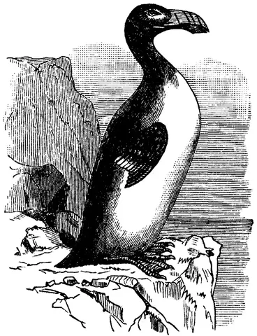Illustration, sida 450