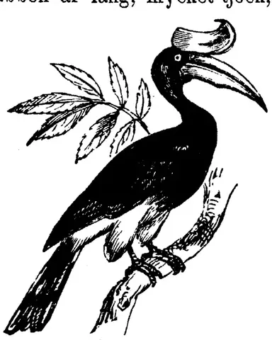 Illustration, sida 767