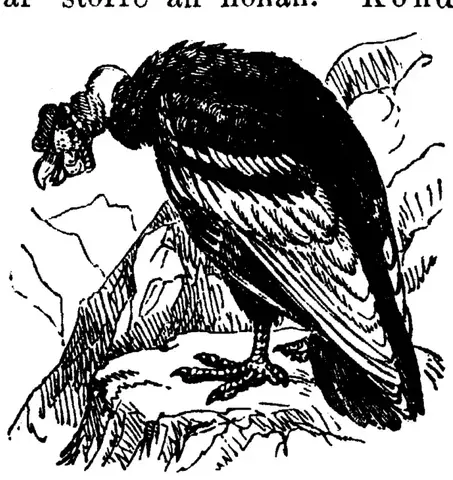 Illustration, sida 66