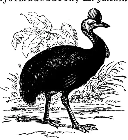 Illustration, sida 237