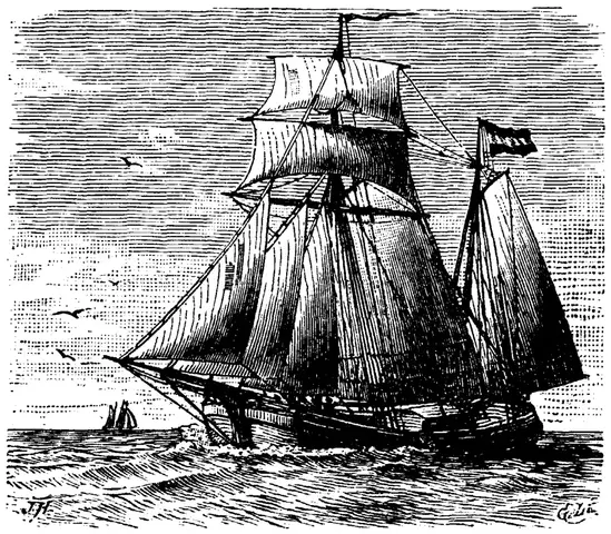 Illustration, sida 496