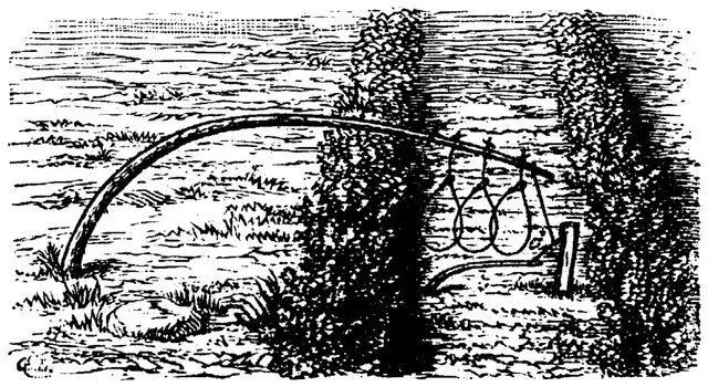 Illustration, sida 754