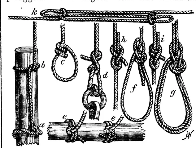 Illustration, sida 234