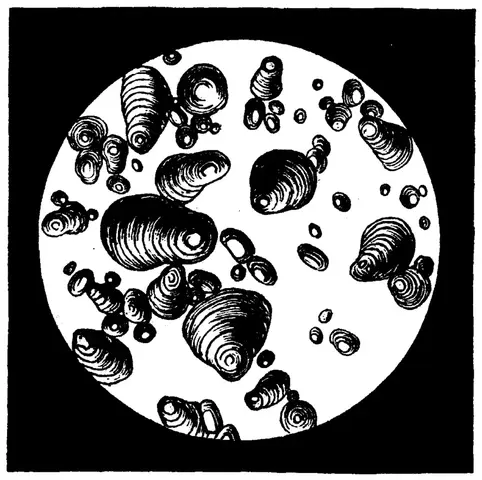 Illustration, sida 425