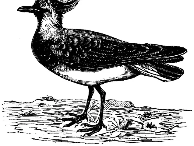 Illustration, sida 223