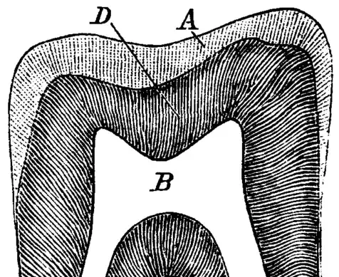 Illustration, sida 602