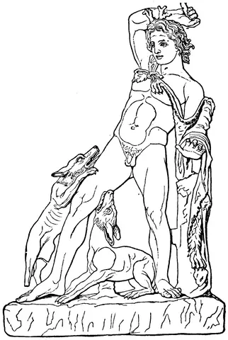 Illustration, sida 250