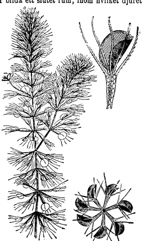 Illustration, sida 287