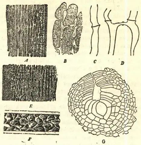 Illustration, sida 320
