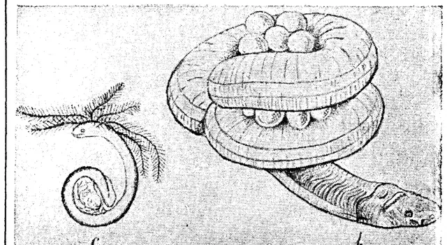 Illustration, sida 474