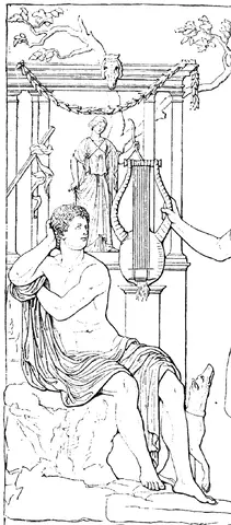 Illustration, sida 481
