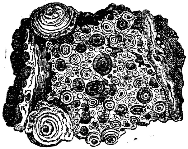 Illustration, sida 715