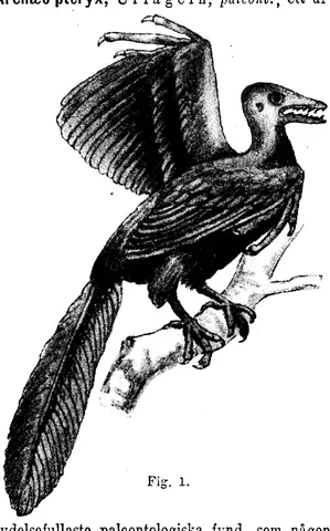 Illustration, sida 758