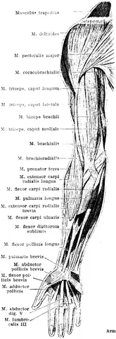 Illustration, sida 821