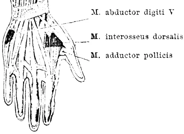 Illustration, sida 821
