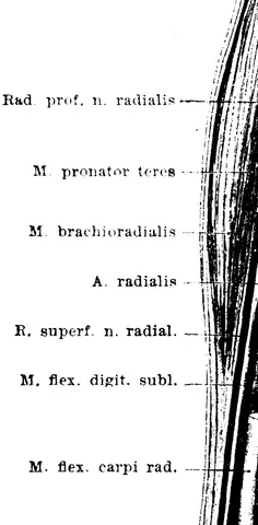 Illustration, sida 822