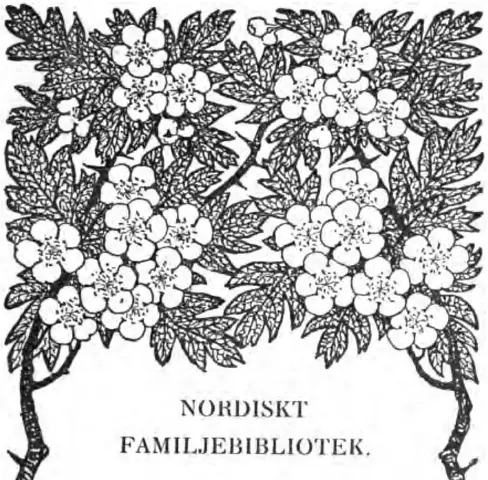 Illustration ur Nina (1903), sida 9