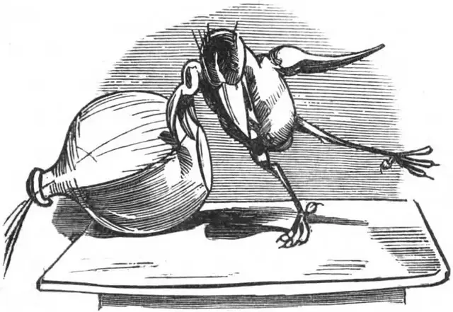 Illustration ur Nisse-kalender 1871 (1871), sida 61