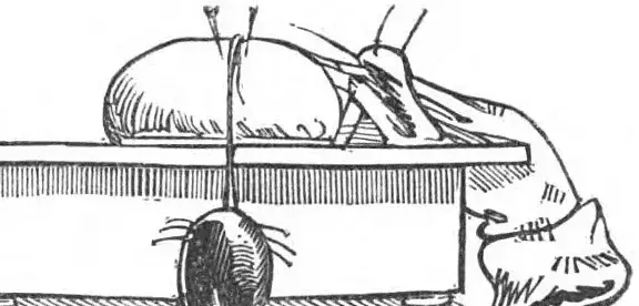 Illustration ur Nisse-kalender 1871 (1871), sida 62