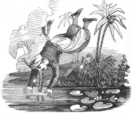 Illustration, sida 114
