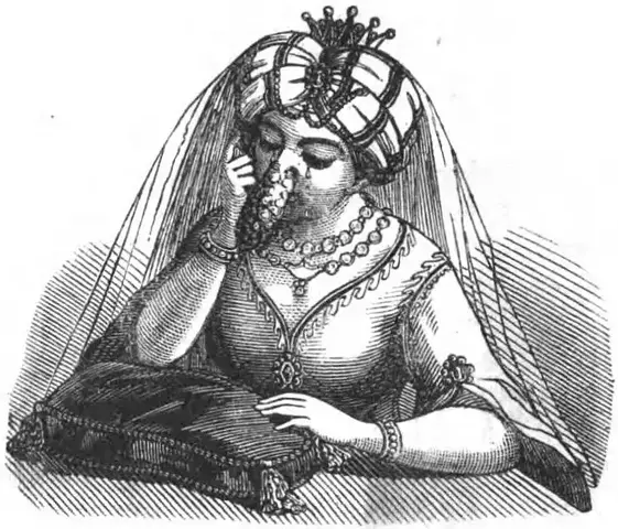 Illustration, sida 120