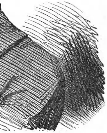 Illustration ur Nisse-kalender 1873 (1873), sida 119