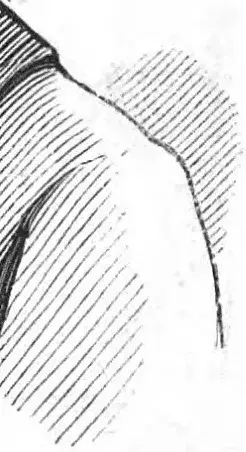 Illustration ur Nisse-kalender 1873 (1873), sida 121