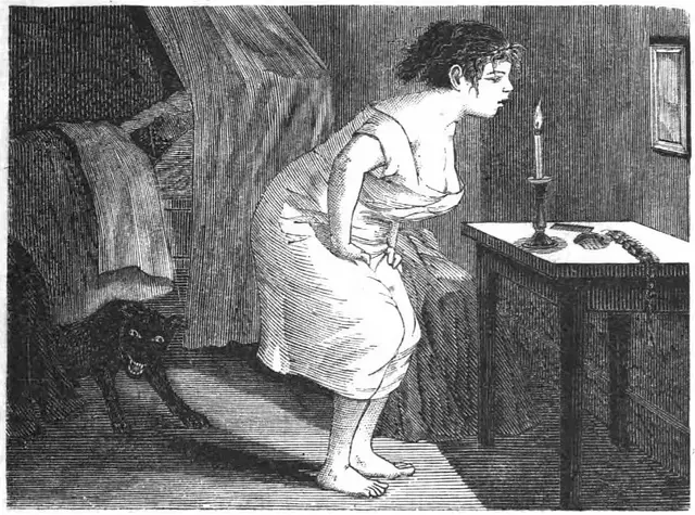 Illustration, sida 73