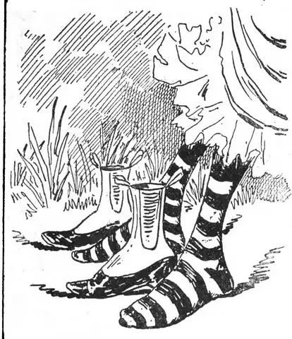 Illustration, sida 41
