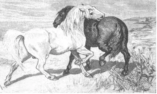 Illustration ur Ölvers saga (1887), sida iv