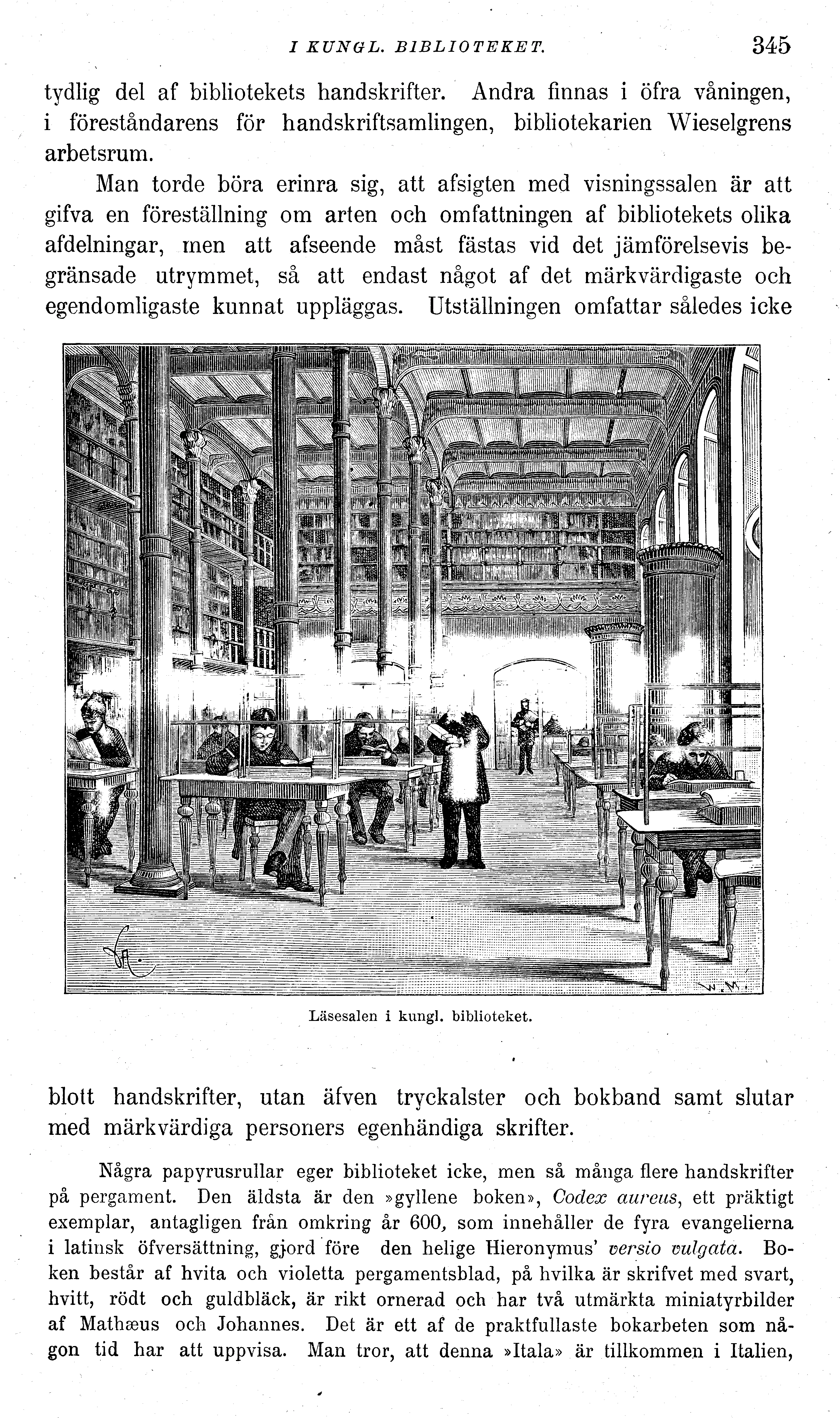 Skannad sida 359