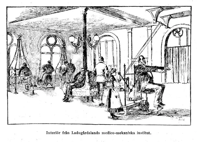 Illustration, sida 146
